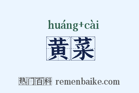 黄菜是什么意思的图片